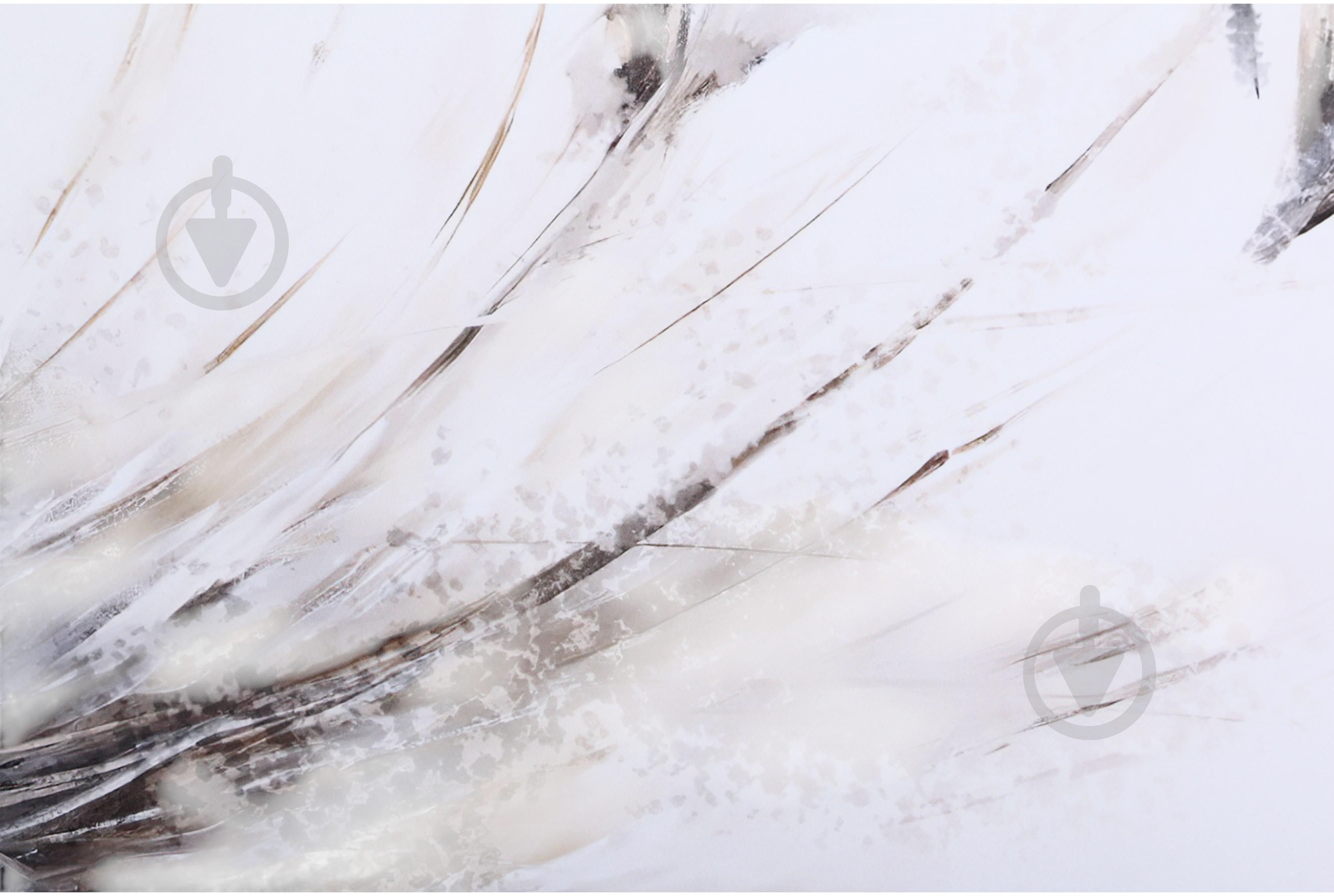 Картина Pampas 50x70 см Styler OB-14545 - фото 2 Картина Pampas 50x70 см Styler OB-14545 - фото 2