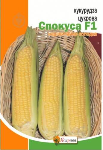 Семена Яскрава кукуруза Искушение F1 20 г (4823069803445) - фото 1