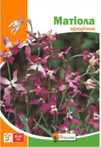 Насіння Яскрава матіола 10 г - фото 1