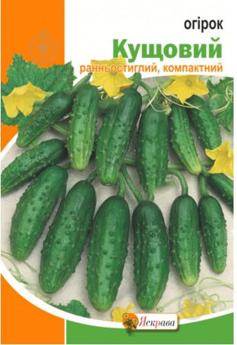 Семена Яскрава огурец Кустовой 5 г (4823069899196) - фото 1