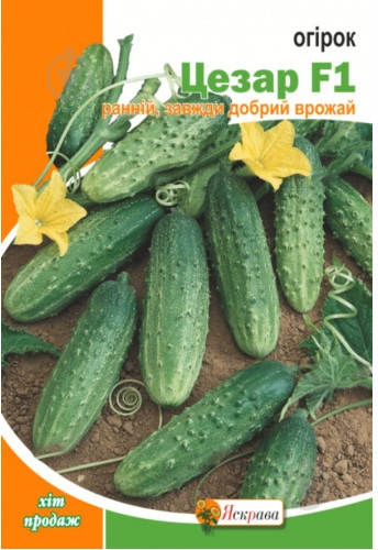 Семена Яскрава огурец Цезарь F1 2,5 г (4823069899240) - фото 1