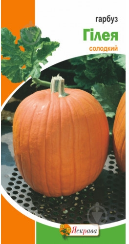 Семена Яскрава тыква Гилея 3 г (4823069800154) - фото 1