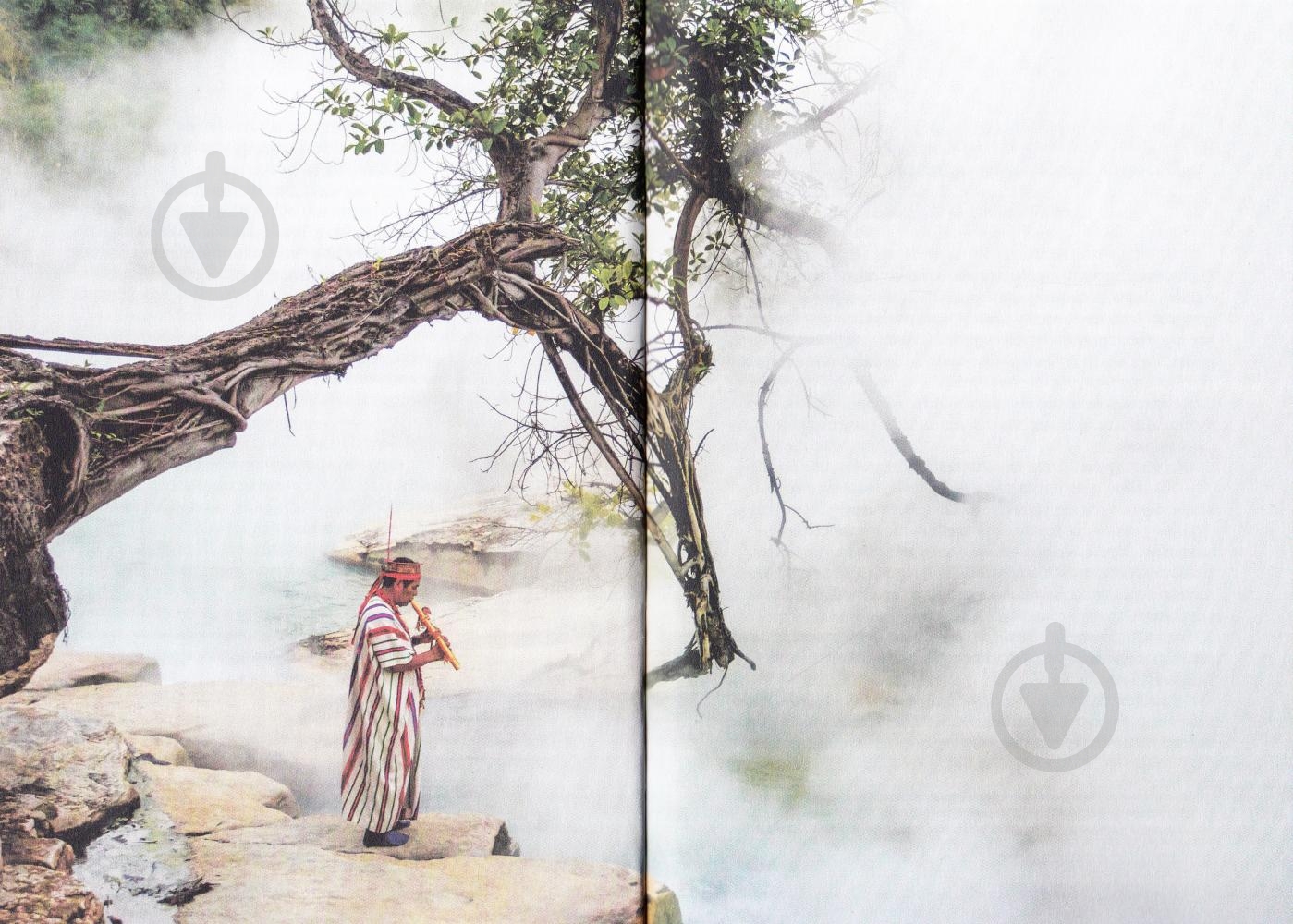 Книга Андрес Русо «Кипуча річка. Пригоди і відкриття в Амазонії» 978-966-942-457-0 - фото 7 Книга Андрес Русо «Кипуча річка. Пригоди і відкриття в Амазонії» 978-966-942-457-0 - фото 7