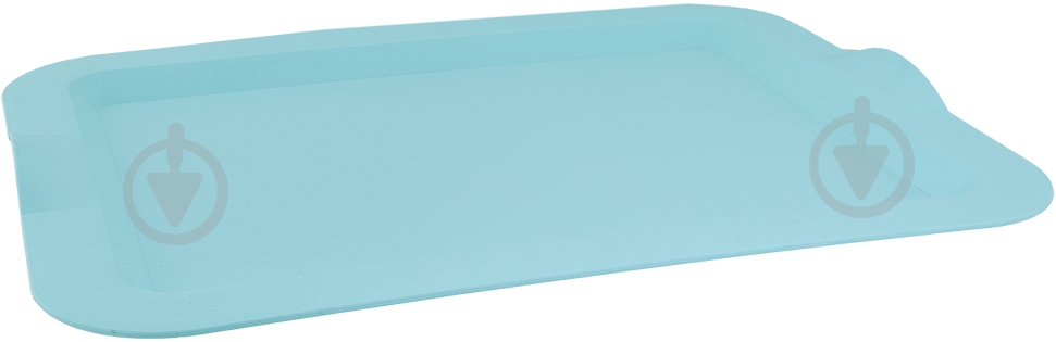 Поднос Алеана Мульти 46х36х4 см - фото 1