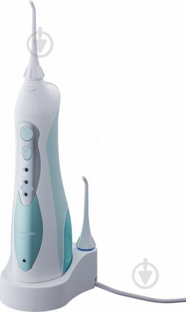 Ирригатор Panasonic EW1313G321 - фото 1