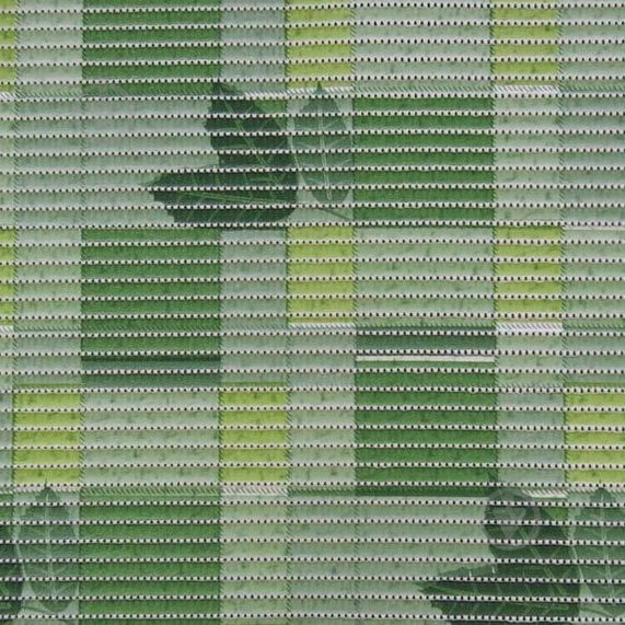 Дорожка Dariana V7147 0,8 м - фото 1