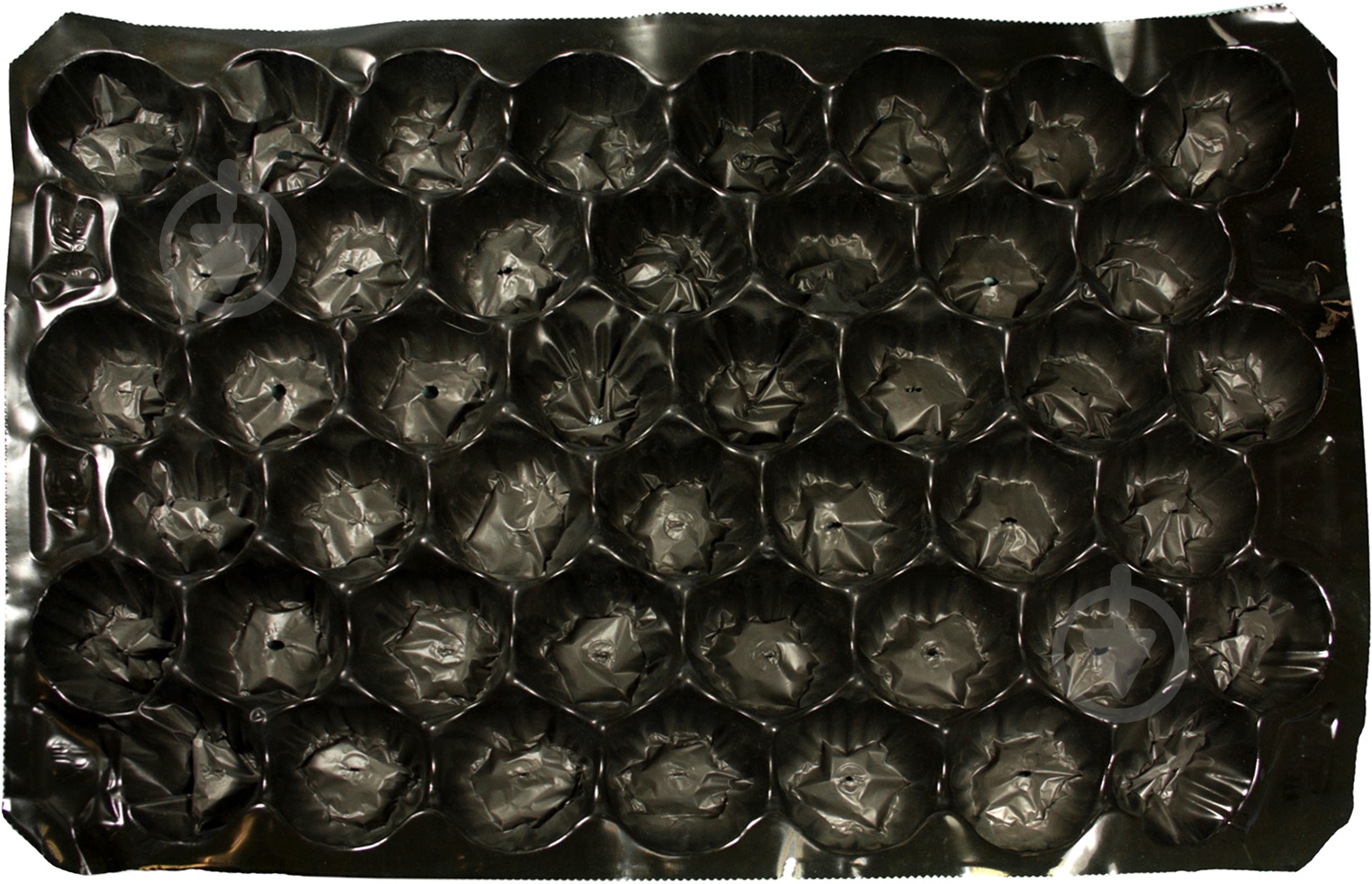 Petruzalek - фото 2