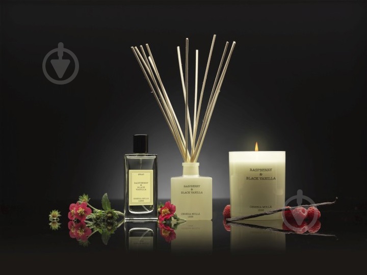Свеча ароматическая Cereria Molla Premium Raspberry & Black Vanilla 230 г - фото 4
