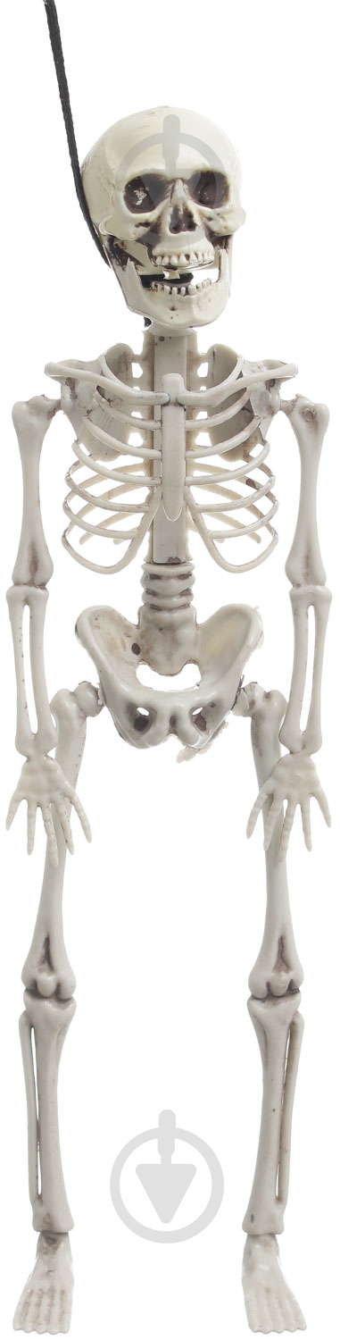 Декорация скелет 42 см - фото 1 Декорация скелет 42 см - фото 1