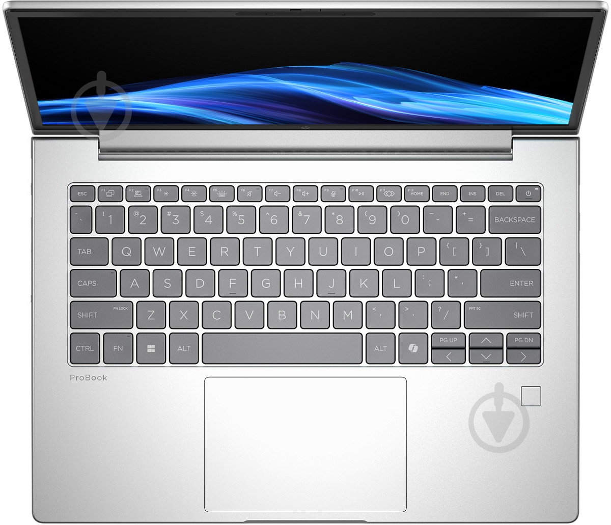 Ноутбук HP ProBook 4 G1iR 14" (B5VS7AV_V3) silver - фото 6