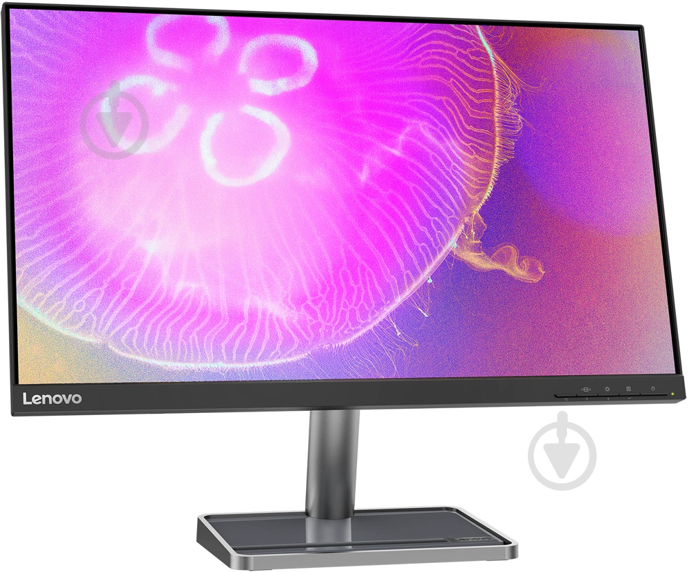 Монитор Lenovo L24q-35 23,8" (66D1GAC1UA) - фото 2