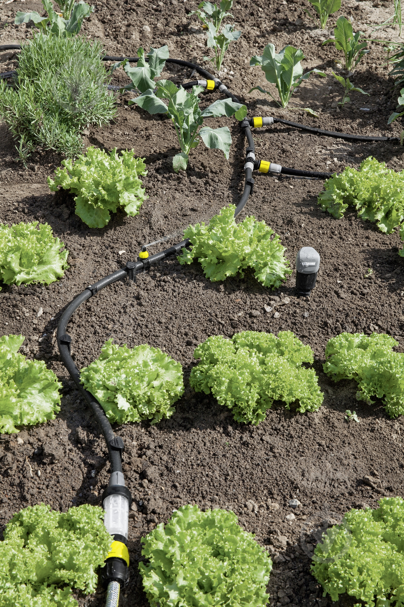 Фильтр Karcher G3/4" 2.645-225.0 - фото 3 Фильтр Karcher G3/4" 2.645-225.0 - фото 3