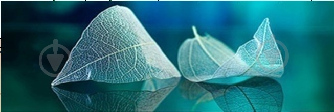 Декор Tiger Kiel leaf-1 25x75 - фото 1