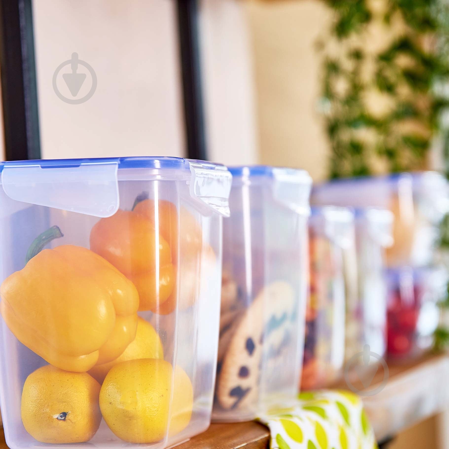 Контейнер для хранения Алеана 17,5x14x10 см 167054 - фото 5