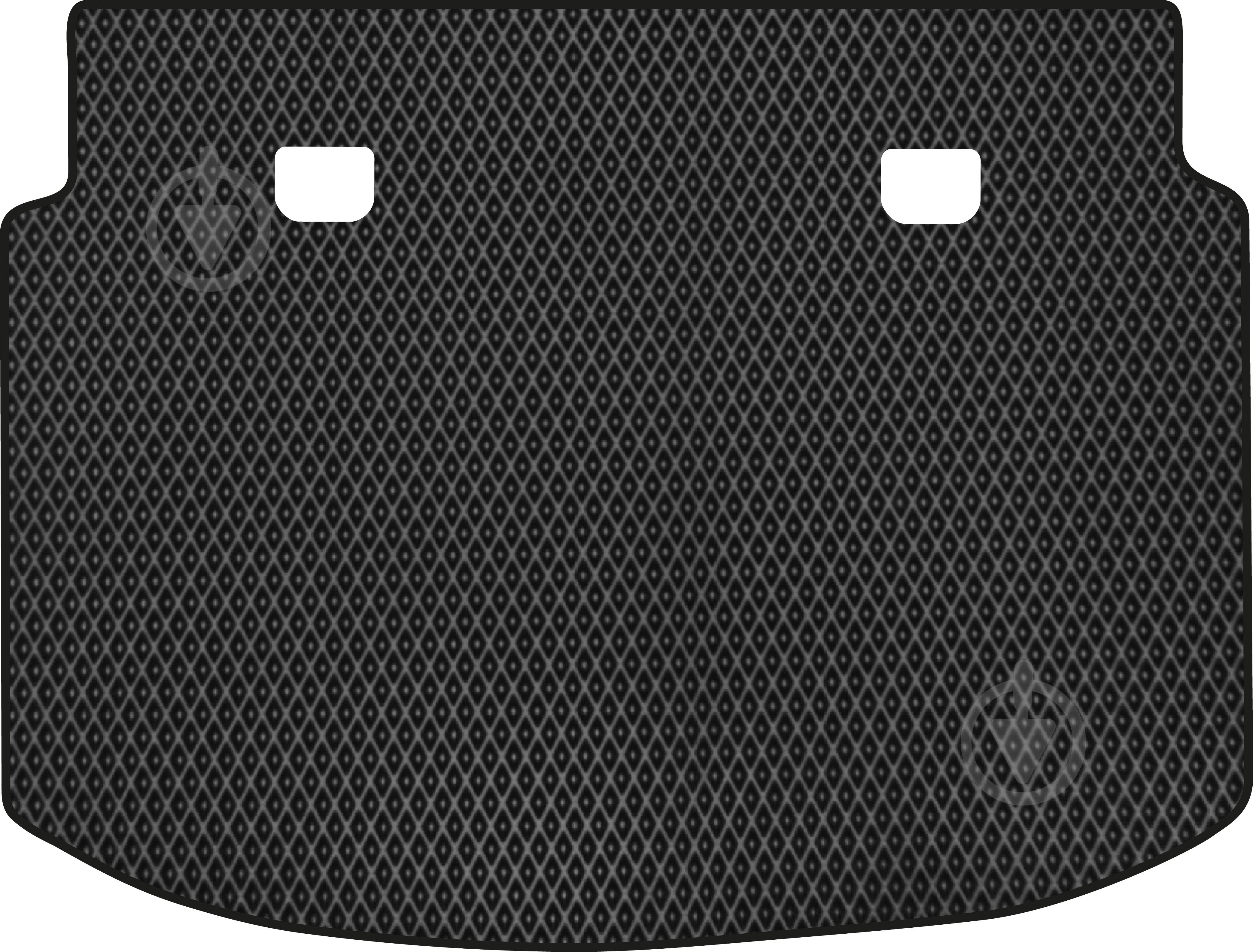 Коврики автомобильные EVAtech Ford C-Max 2010-2019 (FD11135B1RBB) модельные - фото 1