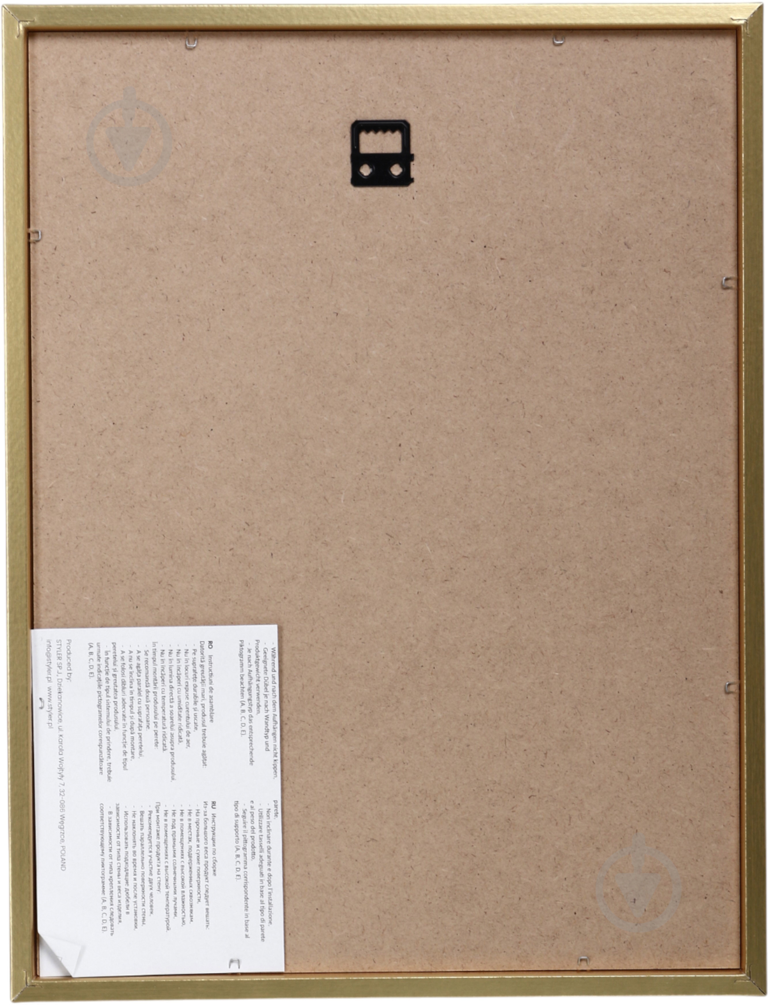 Картина Kitty II 30x40 см Styler OB-22690 - фото 3