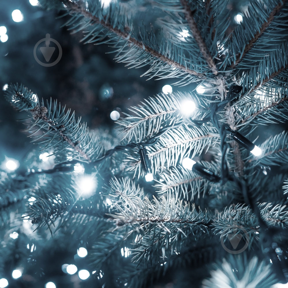 Електрогірлянда лінійна Starlight IP44 (57275) вбудований світлодіод (LED) 100 ламп 5 м - фото 3 Електрогірлянда лінійна Starlight IP44 (57275) вбудований світлодіод (LED) 100 ламп 5 м - фото 3