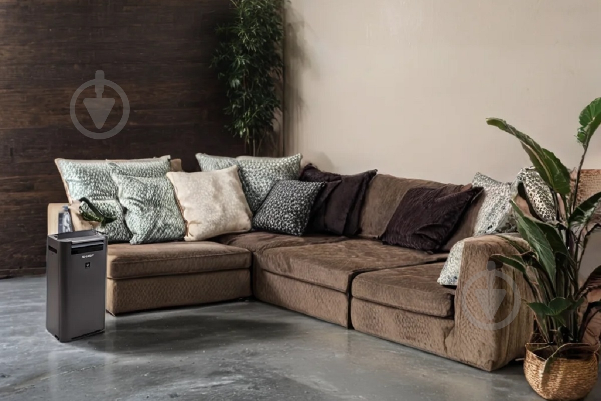 Очиститель воздуха Sharp KC-G40EU-H - фото 10