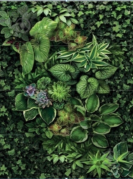 Декор Tiger Madeira 60x80 - фото 1 Декор Tiger Madeira 60x80 - фото 1