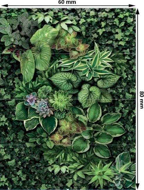 Декор Tiger Madeira 60x80 - фото 3 Декор Tiger Madeira 60x80 - фото 3