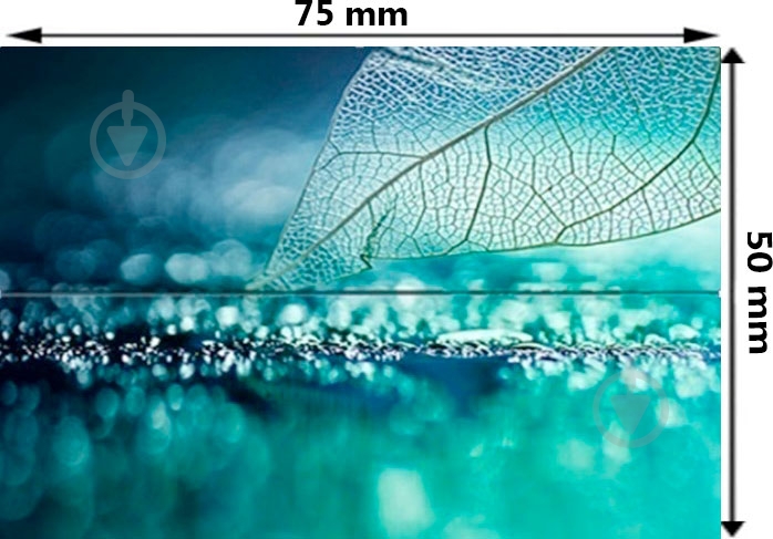 Декор Tiger kiel leaf 75x50 - фото 3