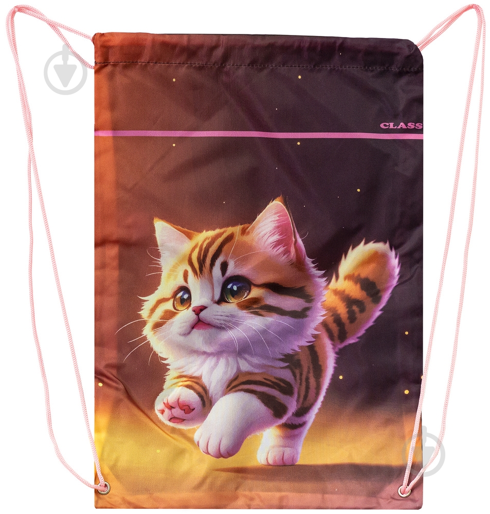 Сумка для обуви CLASS Kitty 46х33 см 2535C (13010138) - фото 1 Сумка для обуви CLASS Kitty 46х33 см 2535C (13010138) - фото 1