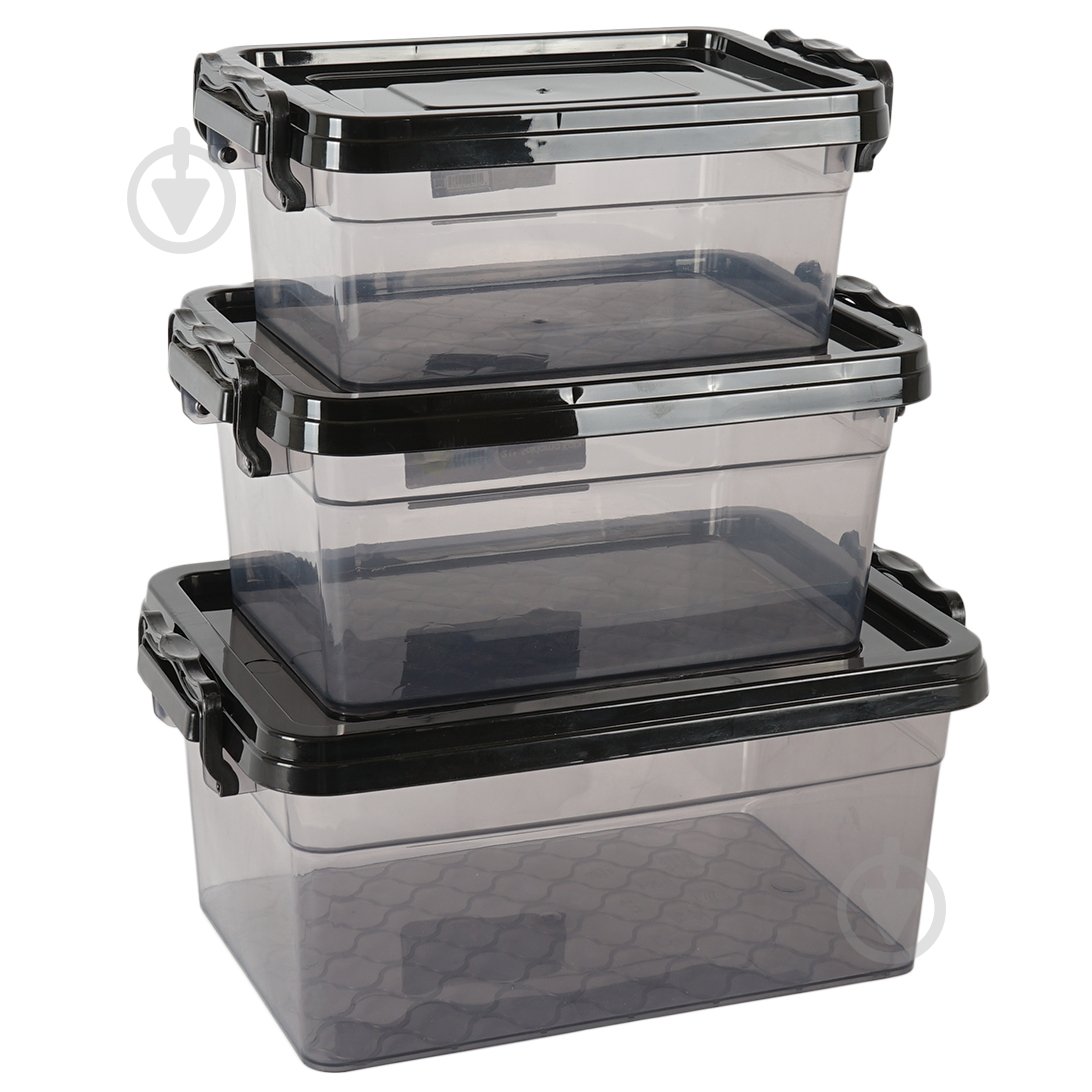 Набір контейнерів ASD079-F M (0,3л-0,6л-1,25л) - фото 1