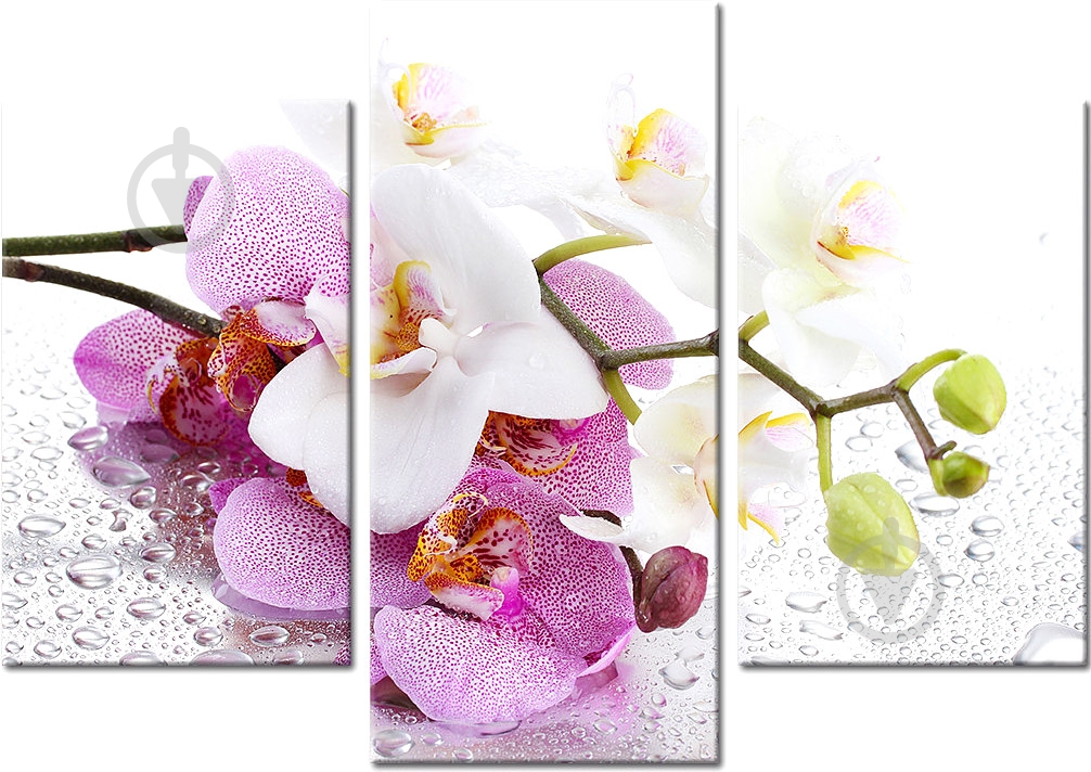 Картина модульная MD015 96x70 см YS-Art MD015 - фото 1