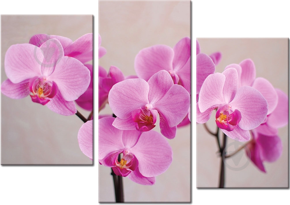 Картина модульна MD096 96x70 см YS-Art MD096 - фото 1