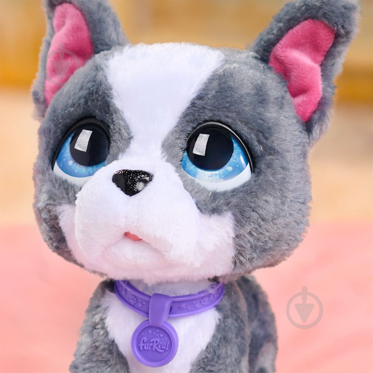 Игрушка интерактивная Just Play серии Walk-a-Lots Французский бульдог 28161 - фото 4