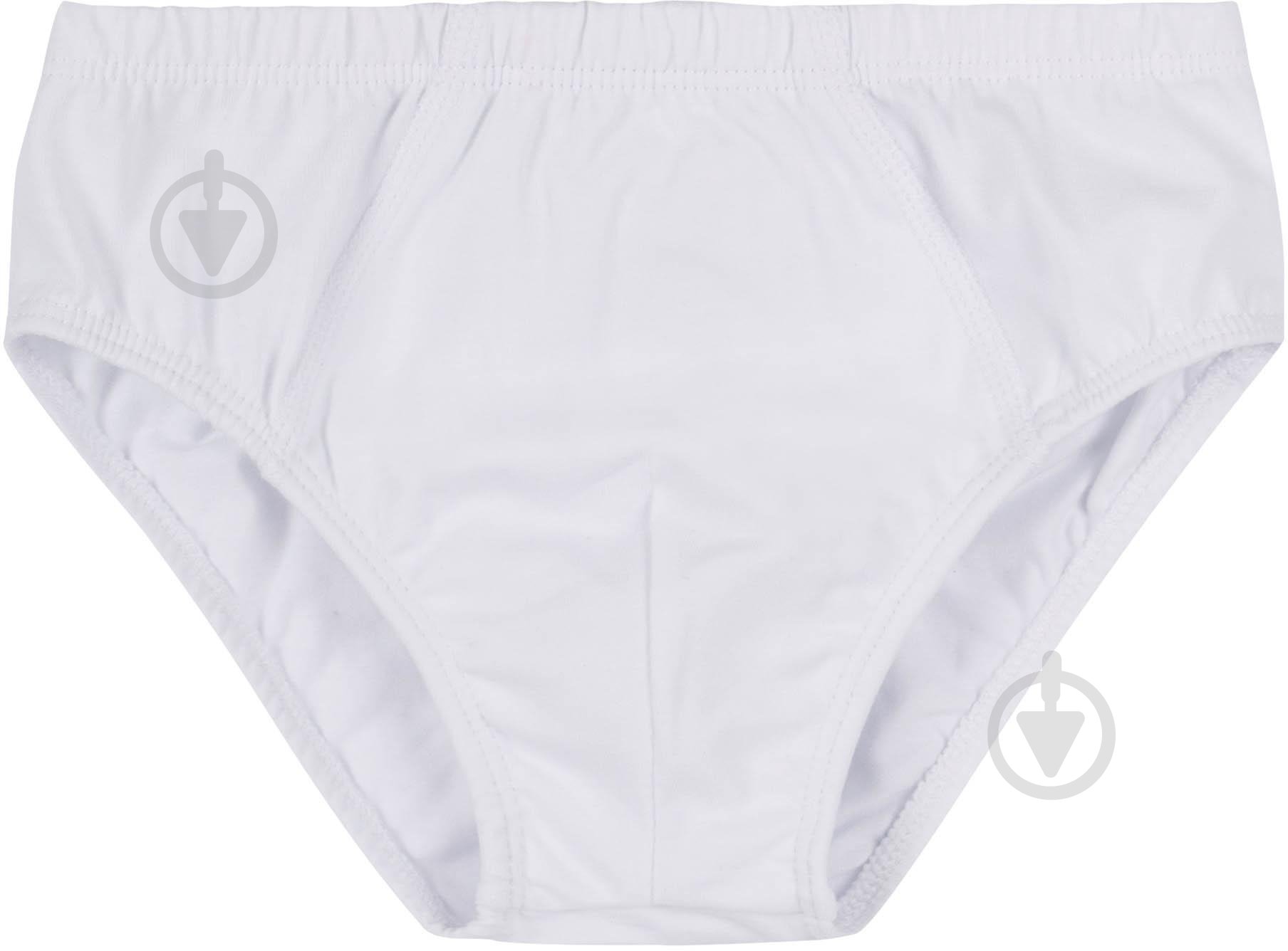 Трусы для мальчиков Bembi ТР5 р.122 белый 22005011042.100 - фото 1 Трусы для мальчиков Bembi ТР5 р.122 белый 22005011042.100 - фото 1