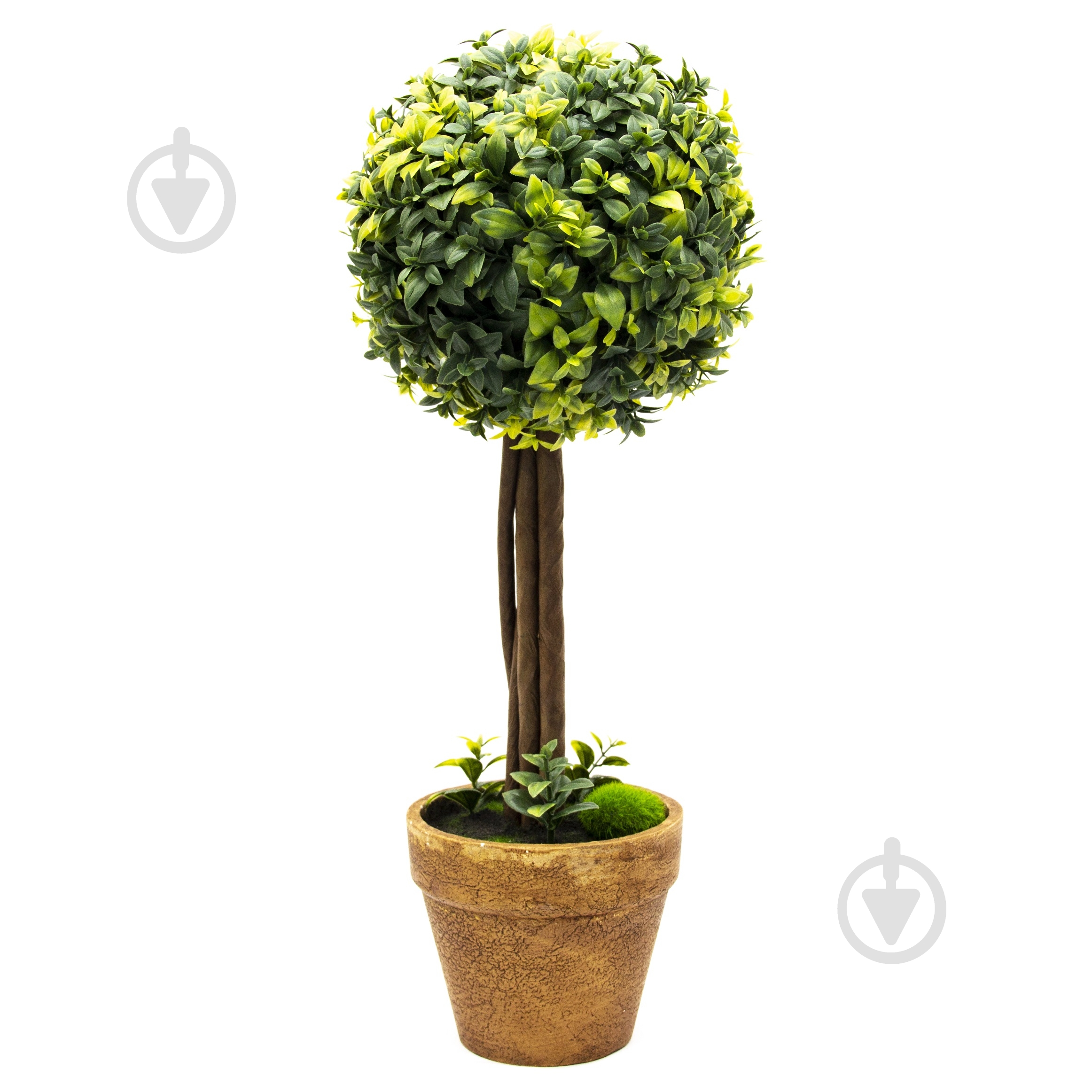 Растение искусственное Самшит 50 см - фото 1 Растение искусственное Самшит 50 см - фото 1