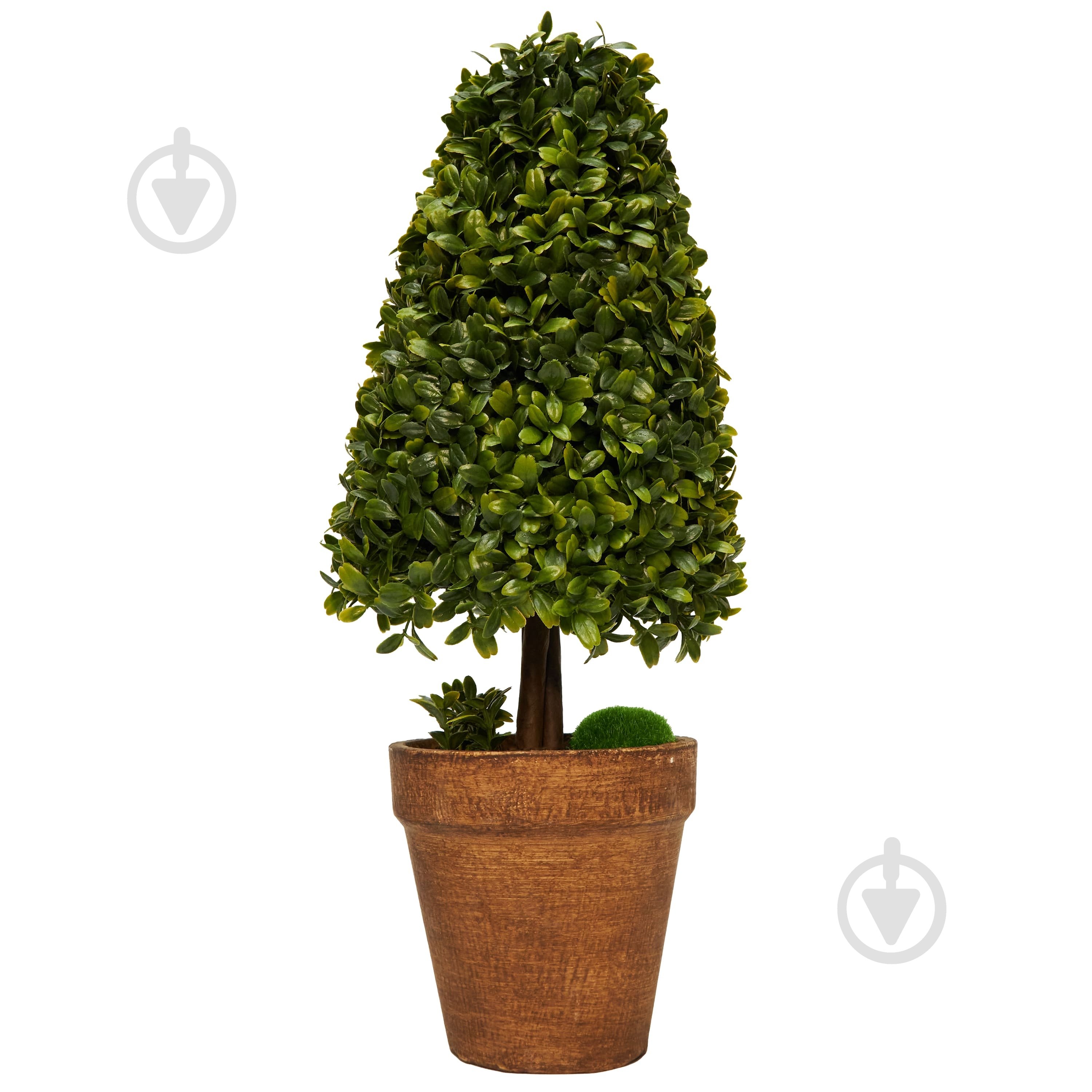 Растение искусственное Самшит 40 см - фото 1