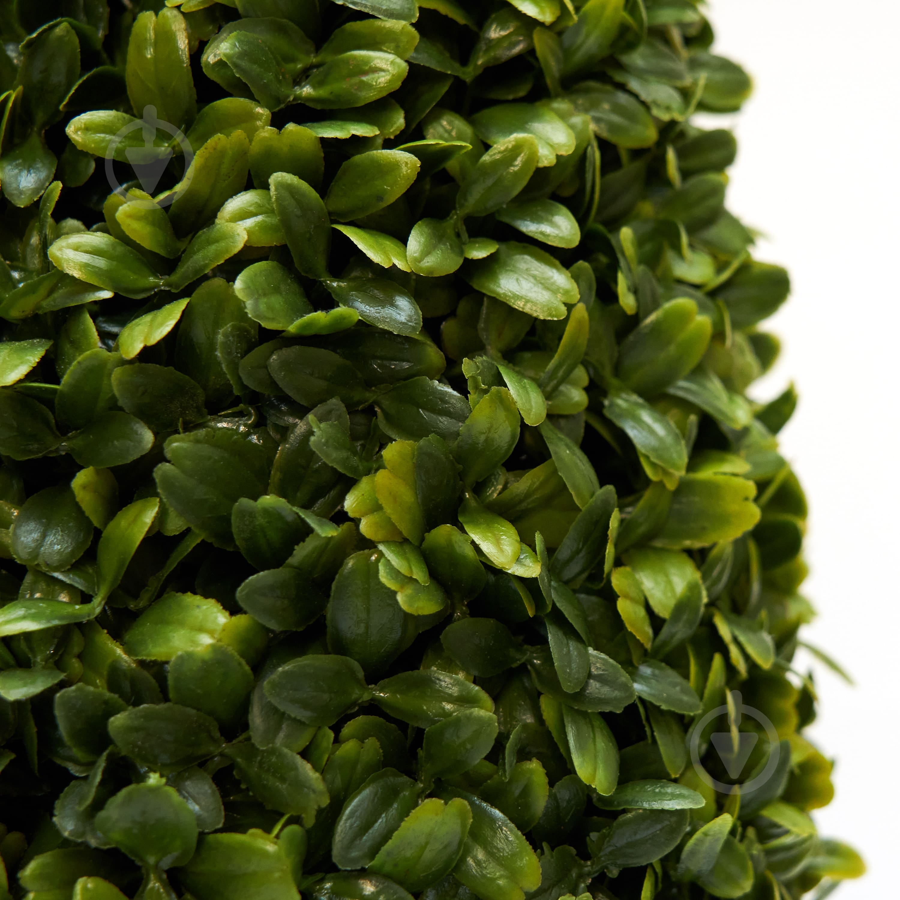 Растение искусственное Самшит 40 см - фото 3