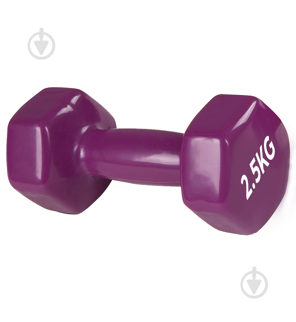 Гантель PowerPlay PP_4125_2.5kg 2,5 кг фиолетовый - фото 1