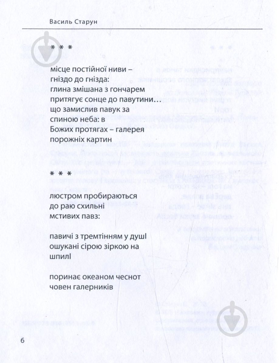 Книга Василь Старун «Намистина мостів» - фото 3