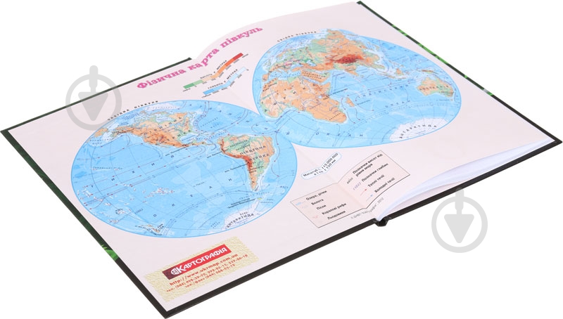 Дневник школьный Panda - фото 5