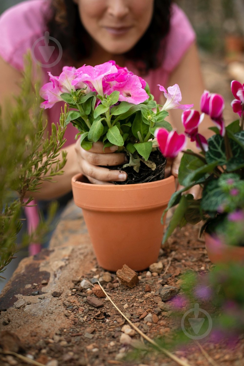 Торфосмесь универсальная Compo SANA 70 л 1184 - фото 12 Торфосмесь универсальная Compo SANA 70 л 1184 - фото 12