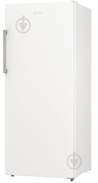 Холодильник Gorenje R615FEW5 - фото 2