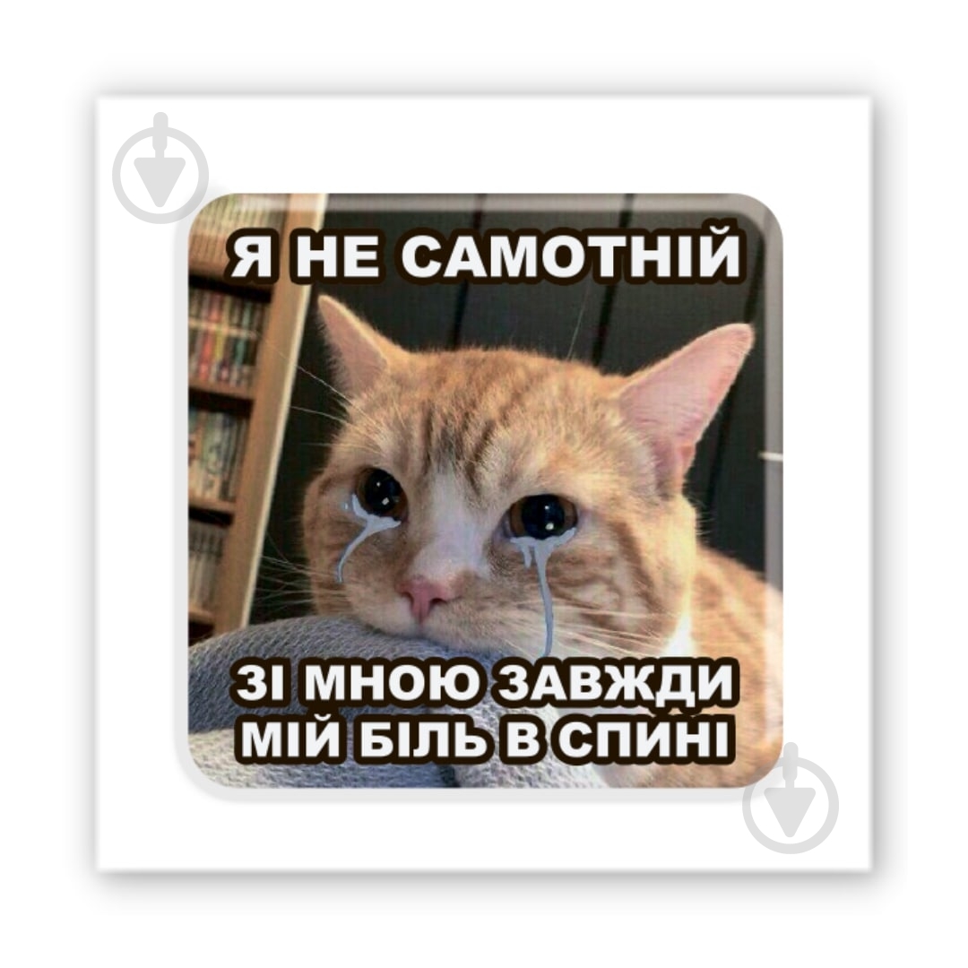 Стикер 3D Tattooshka 3D-стікер "Одинокий кот" - фото 1 Стикер 3D Tattooshka 3D-стікер "Одинокий кот" - фото 1