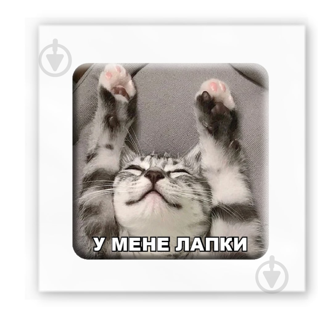Стикер 3D Tattooshka 3D стикер "У меня лапки" - фото 1