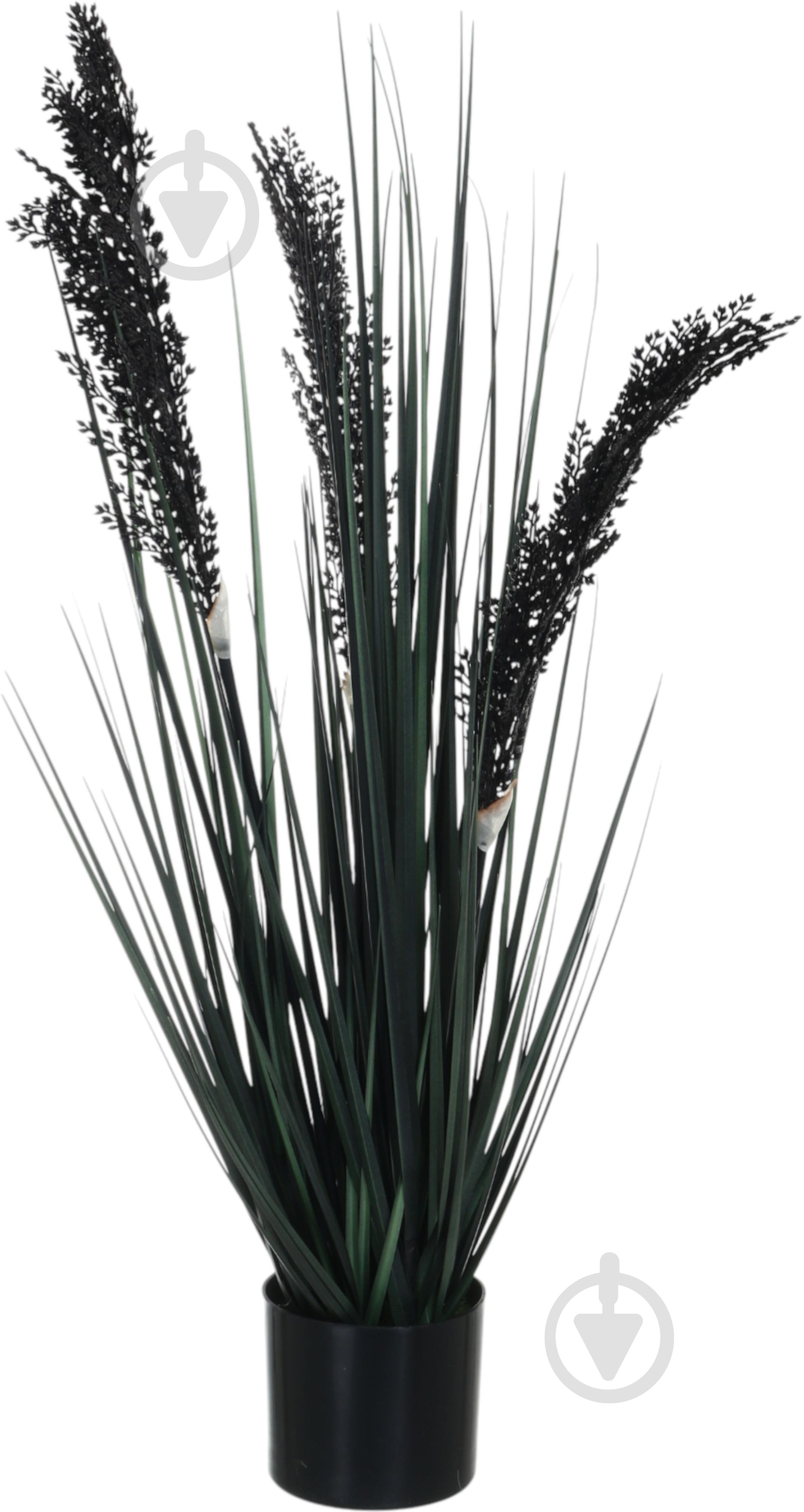 Камыш искусственный в пластиковом горшке 68 см черный Sensio - фото 1 Камыш искусственный в пластиковом горшке 68 см черный Sensio - фото 1