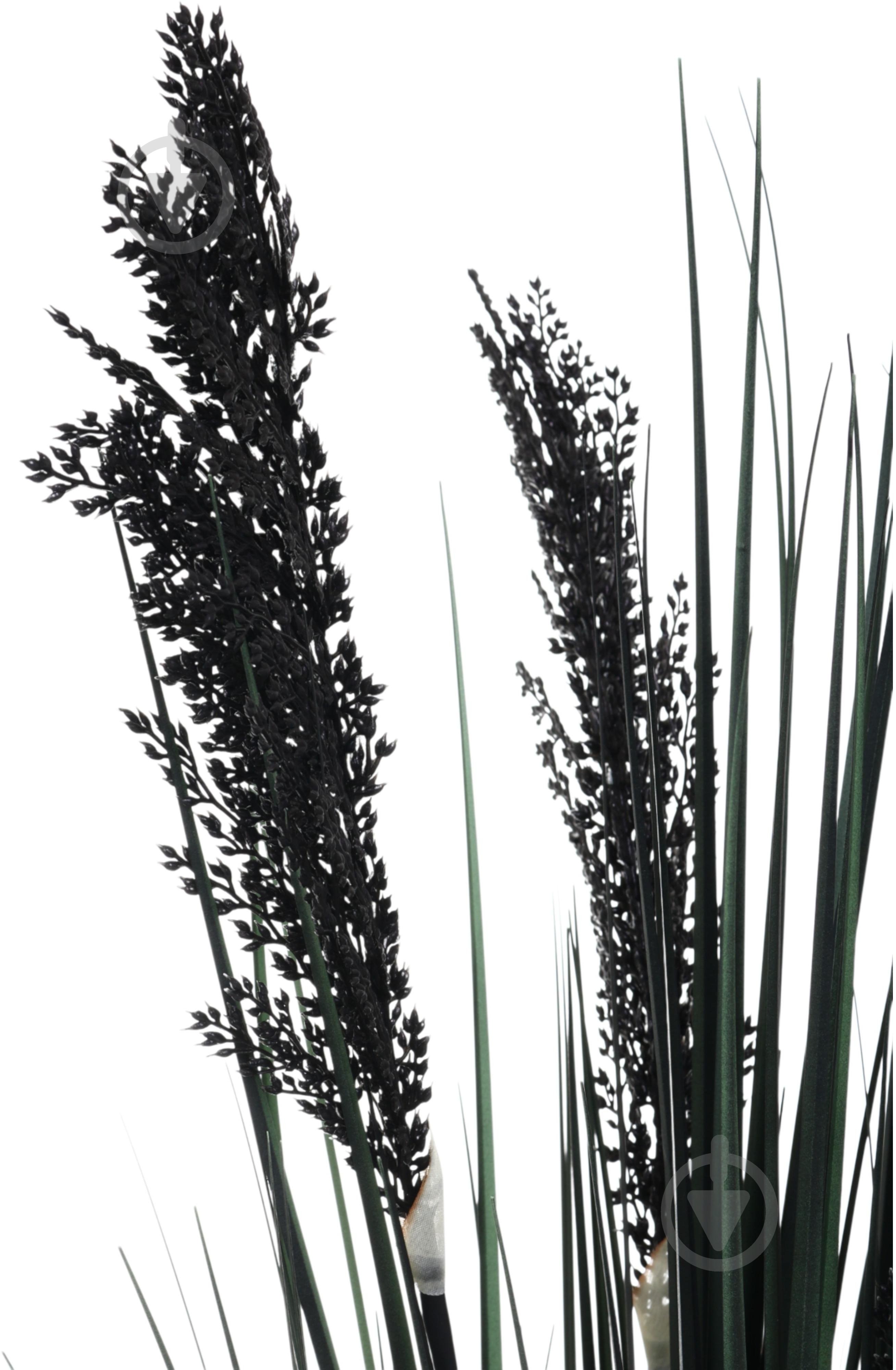 Камыш искусственный в пластиковом горшке 68 см черный Sensio - фото 2 Камыш искусственный в пластиковом горшке 68 см черный Sensio - фото 2