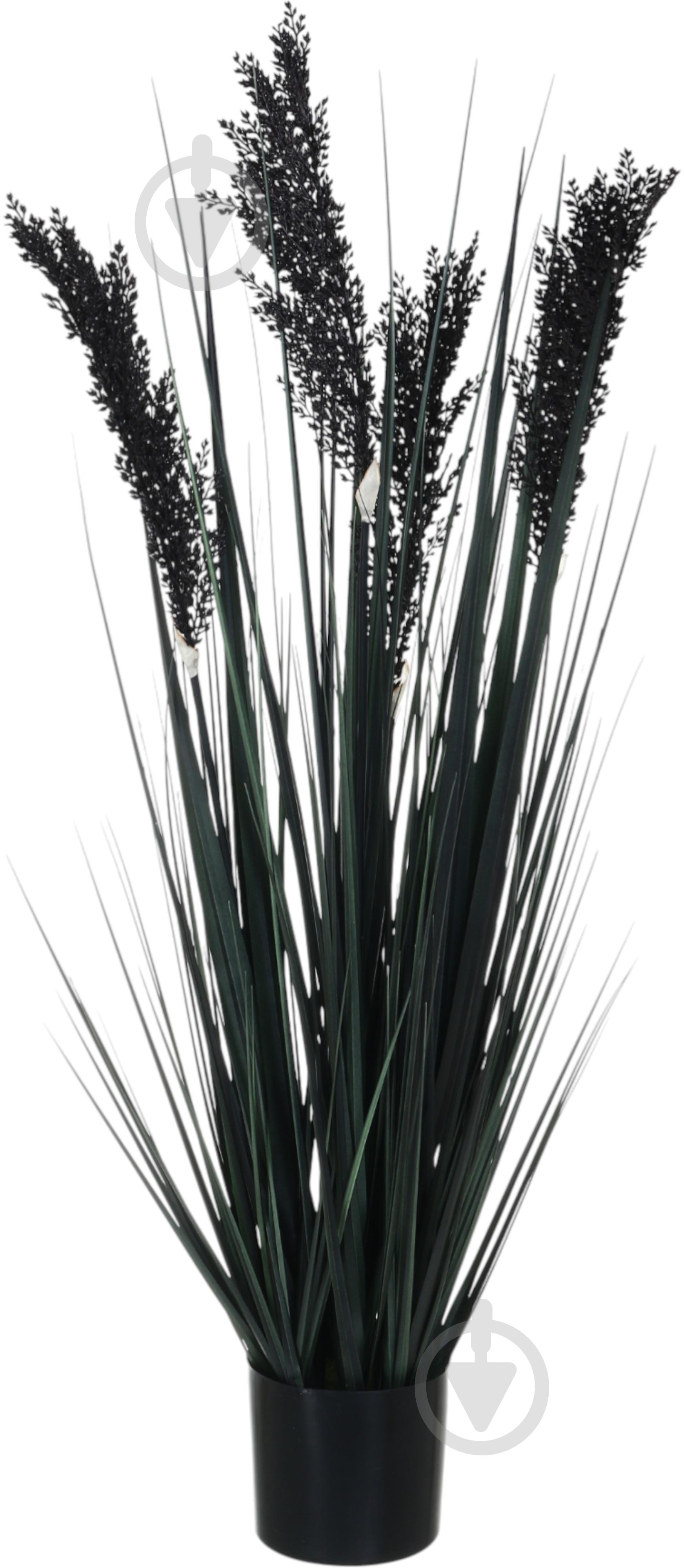 Камыш искусственный в пластиковом горшке 68 см черный Sensio - фото 3 Камыш искусственный в пластиковом горшке 68 см черный Sensio - фото 3
