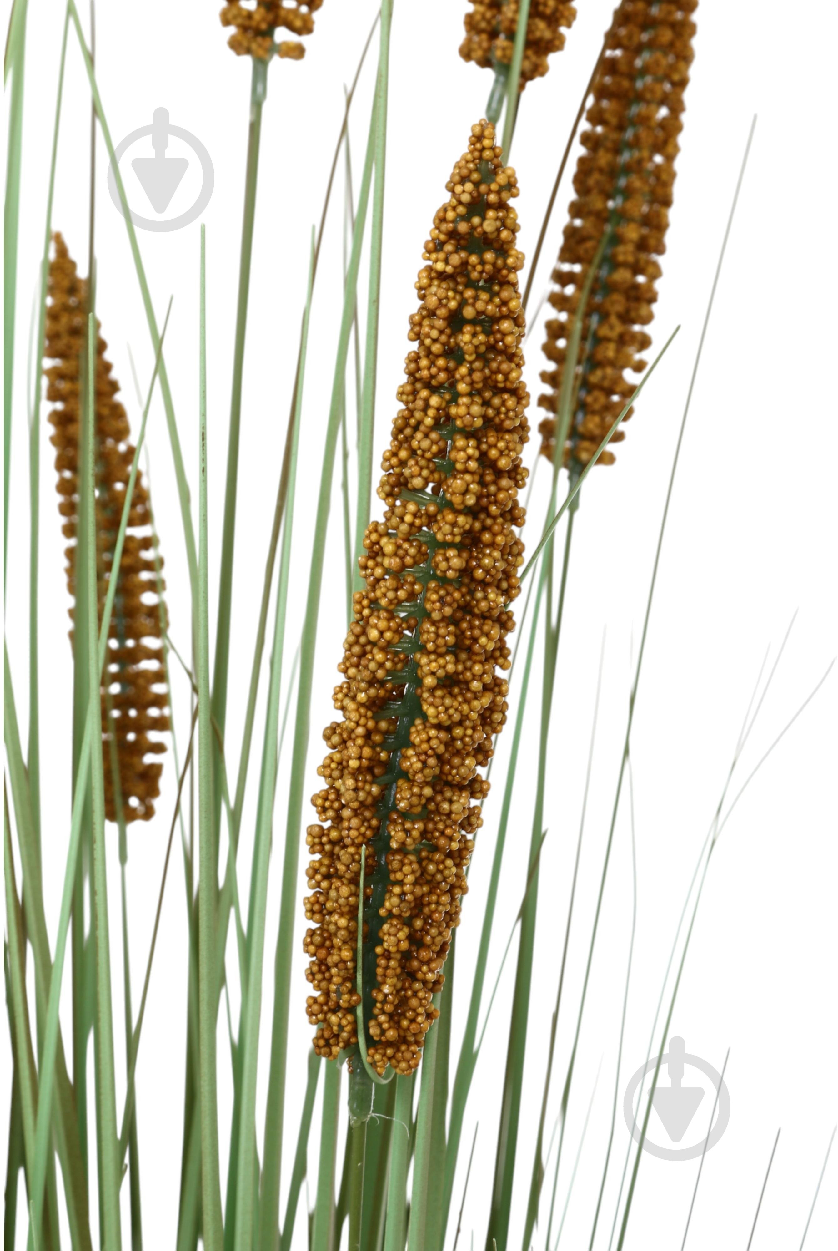 Камыш искусственный в пластиковом горшке 121 см коричневыйчерный Sensio - фото 2 Камыш искусственный в пластиковом горшке 121 см коричневыйчерный Sensio - фото 2