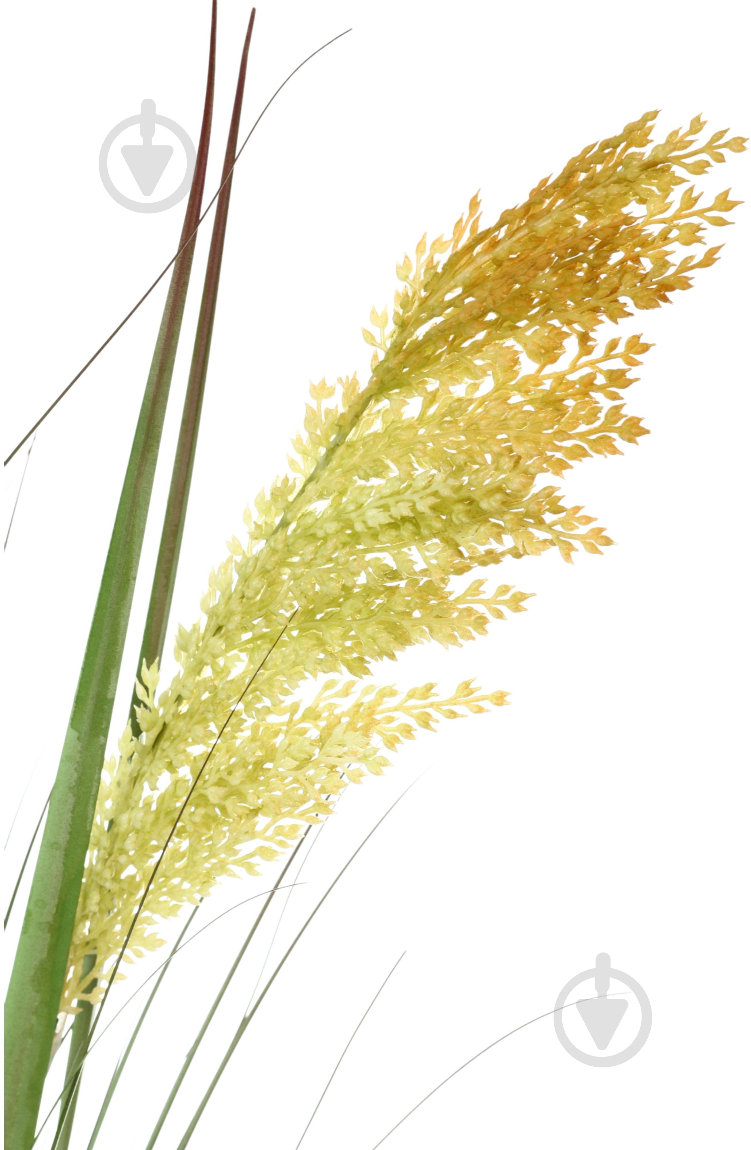 Камыш искусственный в пластиковом горшке 91 см желтый Sensio - фото 2 Камыш искусственный в пластиковом горшке 91 см желтый Sensio - фото 2