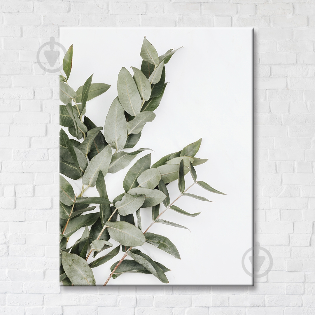 Постер Marble Eucalyptus 50x65 см Brushme - фото 1 Постер Marble Eucalyptus 50x65 см Brushme - фото 1