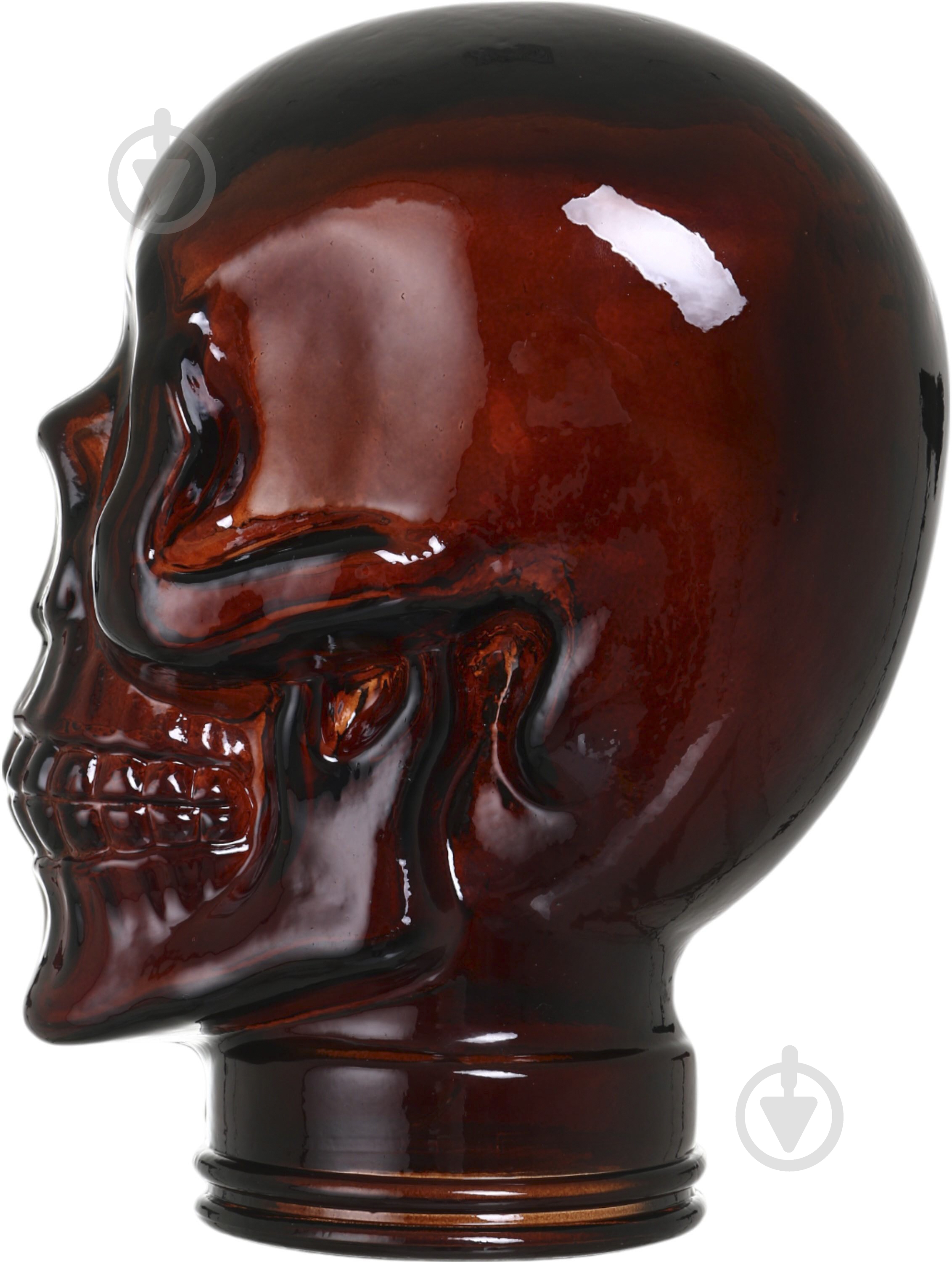 Статуетка San Miguel Head Skull 26х19х19 см коричневий - фото 2