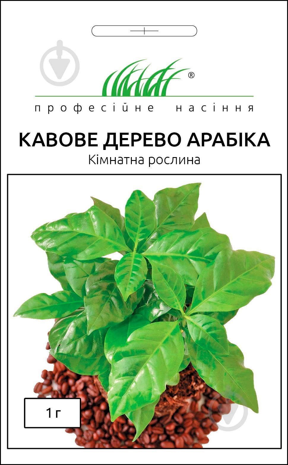 Семена Професійне насіння кофейное дерево Арабика 1 г - фото 1