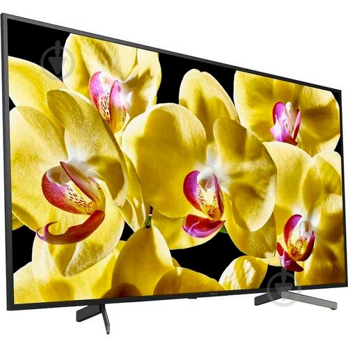 Телевизор Sony KD55AG8BR2 - фото 2